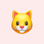 кот ч.